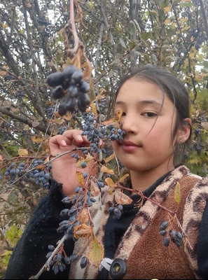 Donor ID 69577. КриоБанк АльтраВита