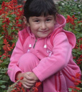 Donor ID 119404